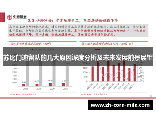 苏比门迪留队的几大原因深度分析及未来发展前景展望