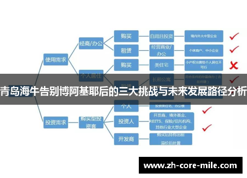 青岛海牛告别博阿基耶后的三大挑战与未来发展路径分析