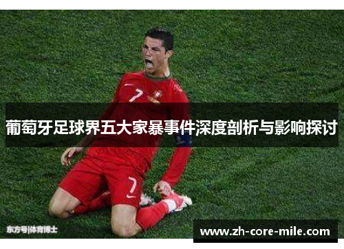 葡萄牙足球界五大家暴事件深度剖析与影响探讨