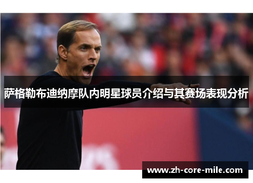 萨格勒布迪纳摩队内明星球员介绍与其赛场表现分析