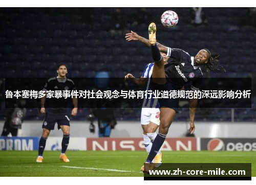 鲁本塞梅多家暴事件对社会观念与体育行业道德规范的深远影响分析