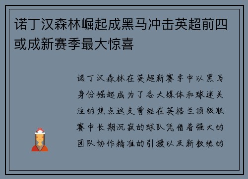 诺丁汉森林崛起成黑马冲击英超前四或成新赛季最大惊喜